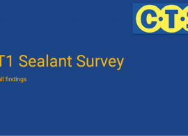 CT1 Sealant Survey Report