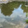 Perfect Repair of Garden Pond Liner with CT1 Black